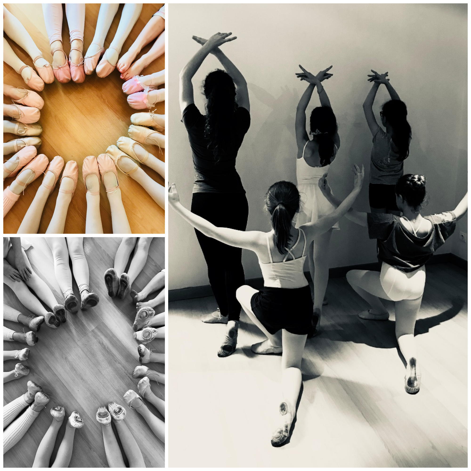 Stage Avril Classique et pieds Initiations- Studio Fontaine Ecole de danse Saumur