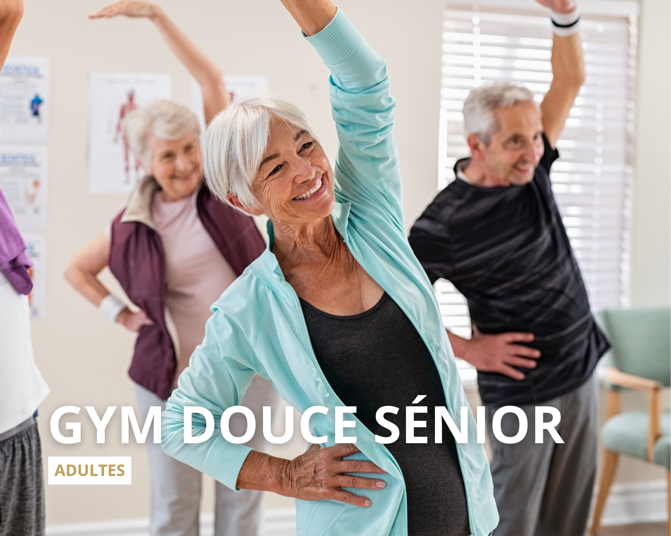 Cours gym sénior adulte Saumur Cours gym sénior adulte Saumur