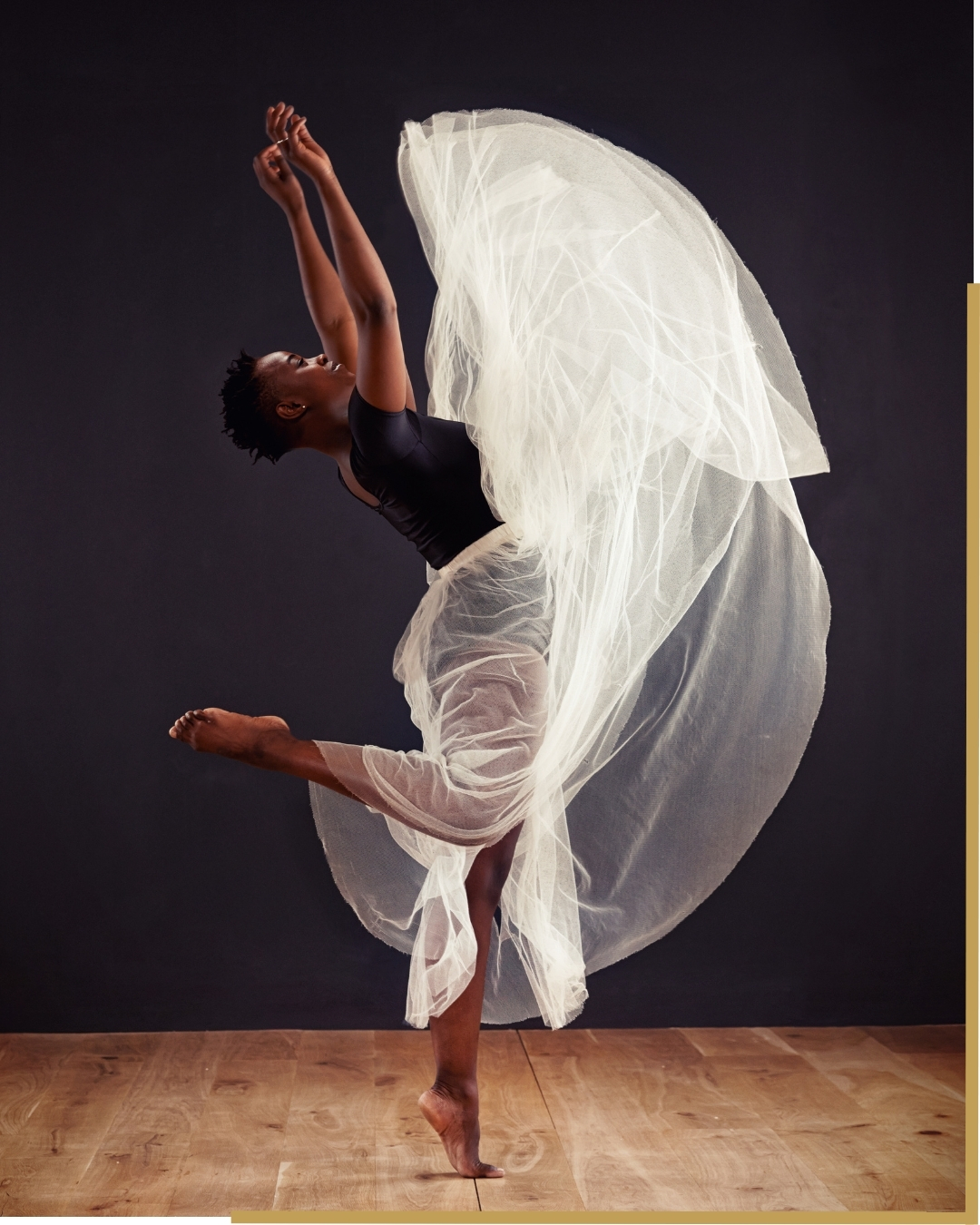 Cours danse contemporaine adultes Saumur